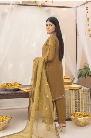 georgia-semi-stitched-lawn-by-zainab-fazlani-pdf-14