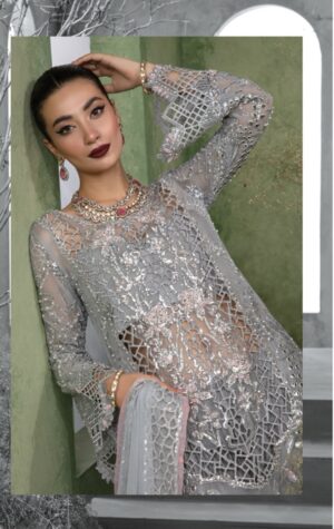 rang-rasiya-chatoyer-wedding-formals-2024-e-catalogue-1-pdf-25