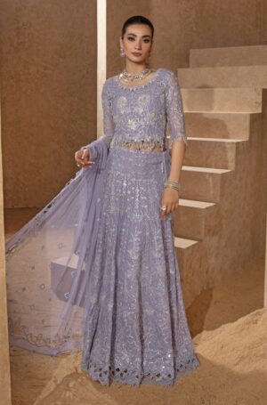 rang-rasiya-chatoyer-wedding-formals-2024-e-catalogue-1-pdf-35