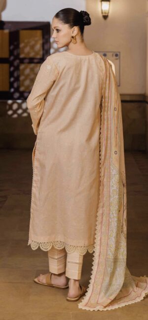 shezlin-chikankari24-catalogue-pdf-12