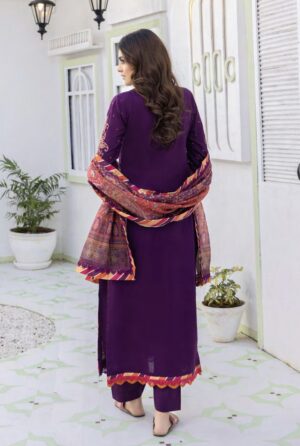 kashmiri-taanka-11