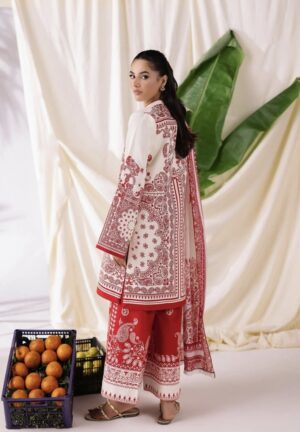 amal-prints-drop-ii-pdf-7